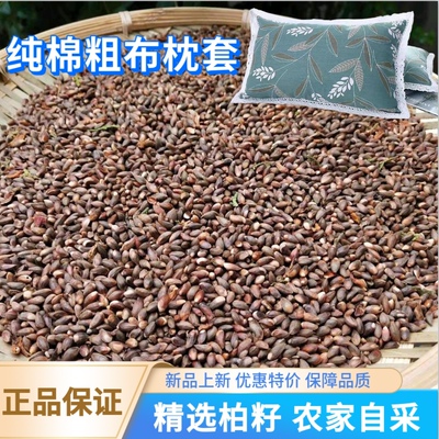 天然全柏籽枕头柏壳籽侧柏树籽柏树种子枕芯枕套