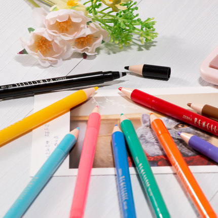 ZEBRA日本斑马彩色中性笔水笔 涂鸦笔针管笔P500 铅笔外观BE-108