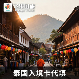 泰国入境卡填写 代填 入境申报 电子TDAC曼谷清迈普吉电子入境卡