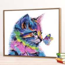 数字油画diy彩虹猫减压简易画卧室装饰画手绘手工填色画卡通猫咪