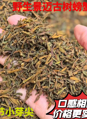 2008年正宗野生螃蟹脚 景迈古树春茶老茶脱节小芽尖散茶500克