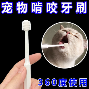 猫咪牙刷啃咬式去牙结石口臭软毛不伤牙龈宠物口腔护理清洁工具