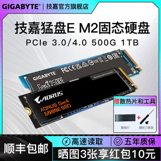 技嘉m2固态硬盘512G/1T/2T台式电脑笔记本SSD nvme 猛盘黑雕系列