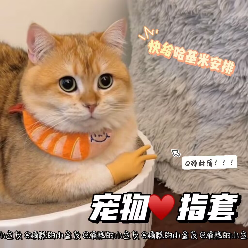 抖音同款猫猫手套高弹力撸猫爪迷你手掌剪刀手套整蛊搞笑软胶玩具