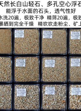 精洗精筛精吹长白山空心轻石浮石
