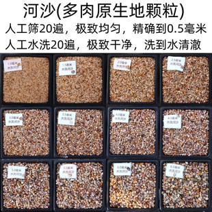 水洗河沙 精筛20遍 多肉介质 颗粒土 铺面石 顾花坊