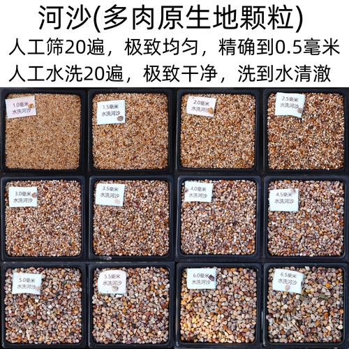 精筛水洗精吹晾干 河沙 多肉植物 颗粒土 铺面石 鱼缸垫底 顾花坊