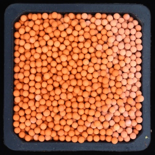 多元土 活力土 多肉颗粒 铺面石 多肉土 顾花坊