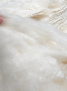 新疆皮棉长绒棉垫背棉花散装垫被褥子填充物绿色天然优质棉花