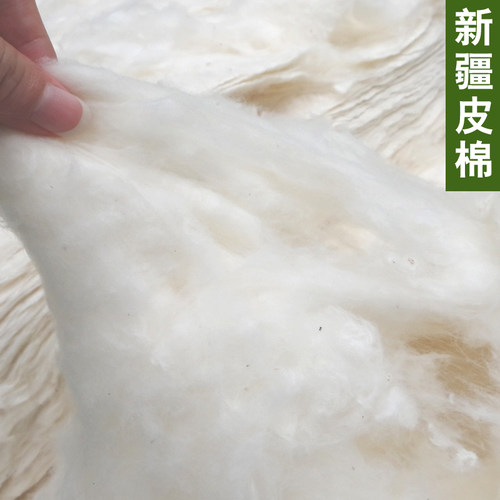棉花天然长绒棉新疆垫背被子