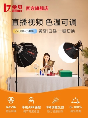 金贝双色温常亮柔光灯