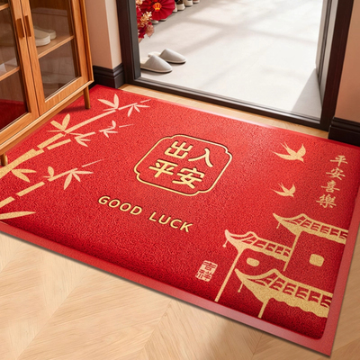 2025新款入户地垫红色丝圈高级感玄关门口进门防滑垫耐磨蹭脚垫子