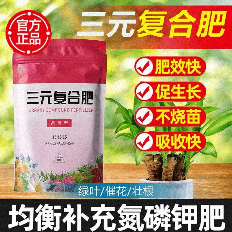 花卉盆栽种菜多肉家用绿萝