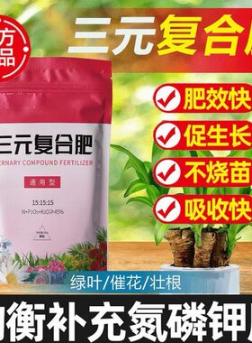 花卉盆栽种菜多肉家用绿萝