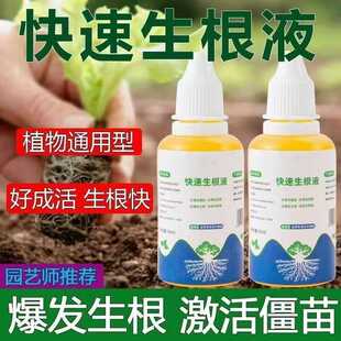 快速生根液多肉养花爆根植物专用液体肥料浓缩通用型