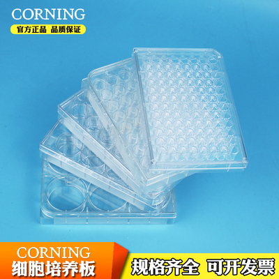 康宁costar细胞培养板 细菌培养板 6 12 24 48 96 孔细胞板灭菌包装