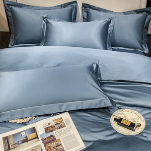 新款思百舍100支高端枕套一对装单品纯棉全棉高档轻奢48*74单人枕