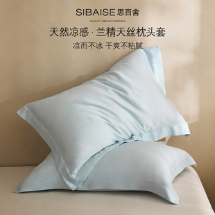 夏季 纯色简约枕套家用48cmx74cm 凉感超细旦兰精天丝枕头套一对装