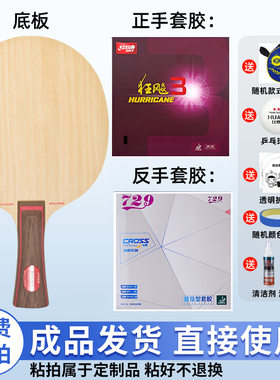 Stiga斯帝卡AE纯木乒乓球底板DIY手工粘拍套装正品比赛拍专业级