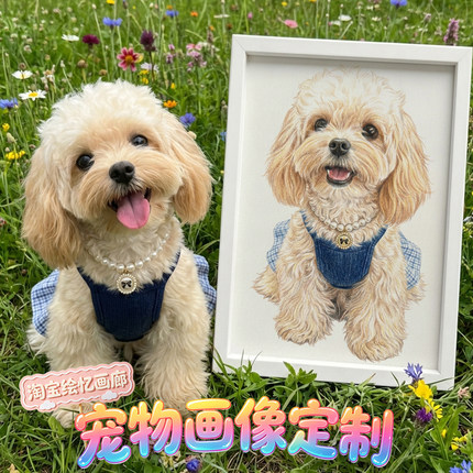 宠物画像定制手绘狗狗猫咪爱犬兔鹦鹉画萌宠画彩铅水彩素描铅笔画