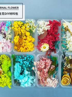 天然干花永生花假花仿真