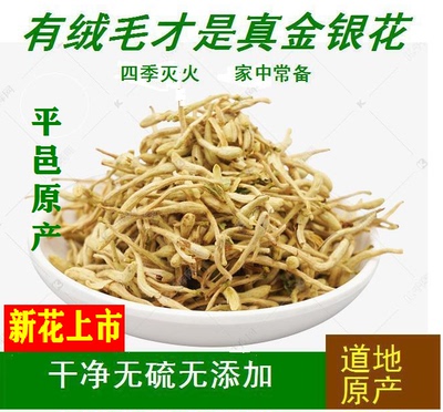 山东平邑金银花野生散装花草茶