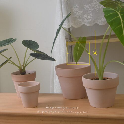 红陶简约透气雾化素烧