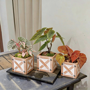 创意超级玛丽蘑菇箱正方体透气红陶花盆高级可爱造型百搭园艺盆栽