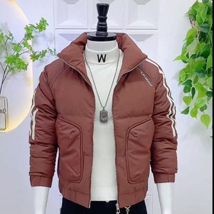 冬装外套冬款加厚羽绒棉服新款男轻薄保暖立领男款夹克棉袄网红男