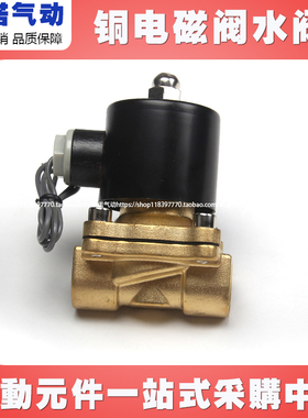 二位二通直动式电磁阀2W 膜片铜电磁阀2W160电磁阀水阀220V不锈钢