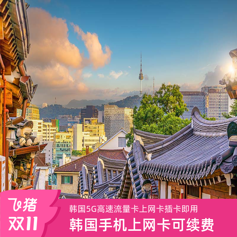 韩国电话卡5G上网卡