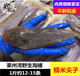 莱州湾海鱼舌头鱼鳎米鳎目鱼玉秃鱼平鱼踏板鱼鳎米鱼500g