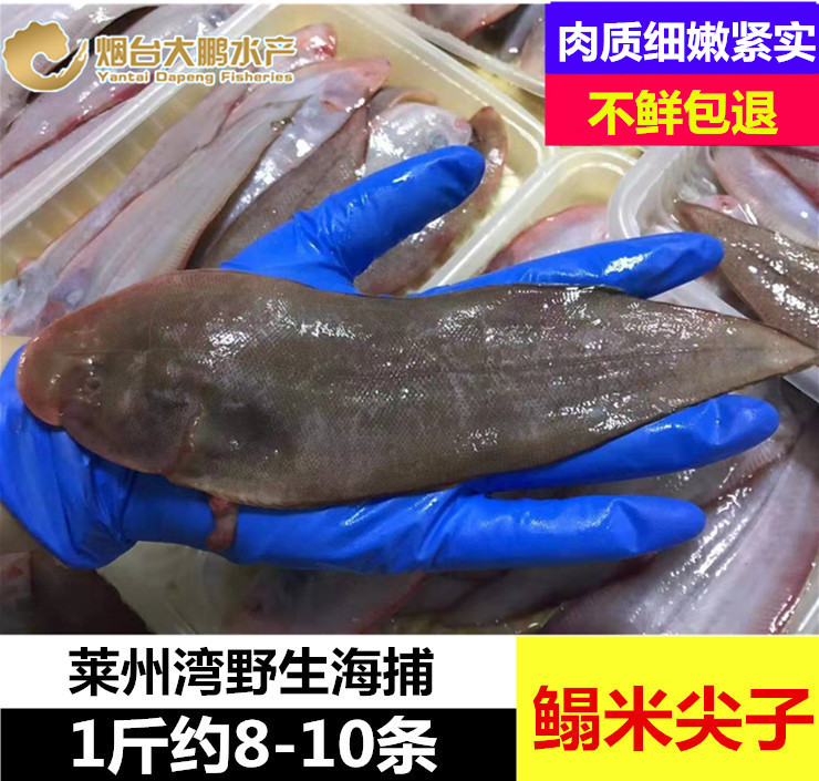 莱州湾海鱼舌头鱼鳎米鳎目鱼玉秃鱼平鱼踏板鱼鳎米鱼500g