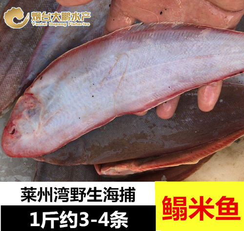 莱州湾平鱼质量怎么样 莱州湾平鱼口碑怎么样 小麦优选