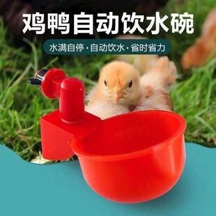 鸡鸭全自动喝水碗鸡雏喂水碗家禽饮水碗加厚饮水器鸽子喂水器小鹅