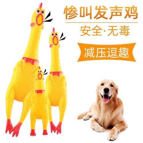 惨叫鸡尖叫鸡发泄鸡狗狗玩具耐咬火鸡搞怪整蛊发声鸡地摊玩具家用
