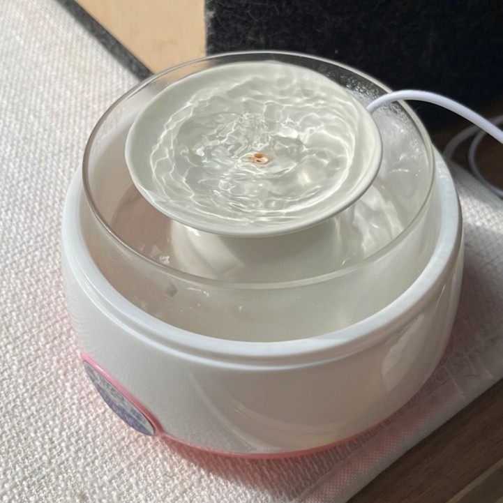陶瓷宠物猫咪饮水器内胆瓶子