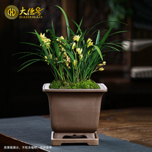 大德号宜兴紫砂花盆透气高端四方形带托盘盆景绿植蓝草兰花专用盆