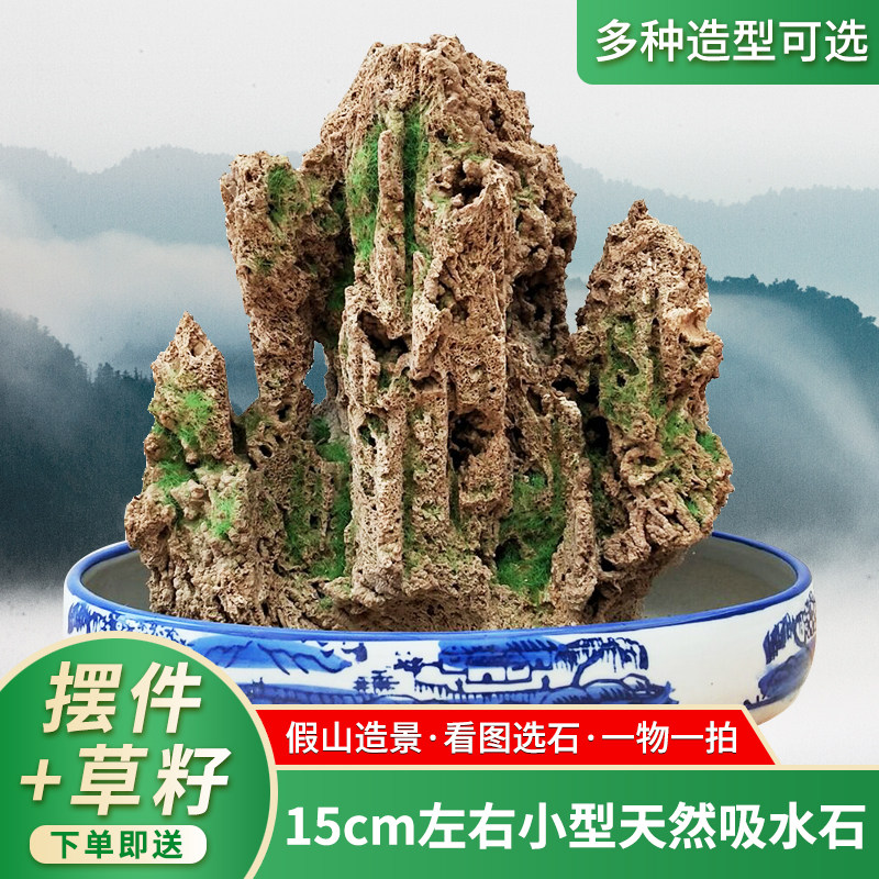 小型吸水石原石15cm左右菖蒲盆天然石头盆景鱼缸假山造景上水石
