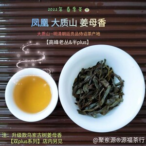 聚岽源大质山老丛春季姜花香单丛