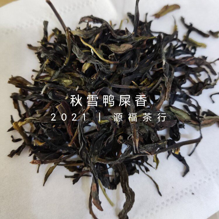 凤凰单丛秋雪鸭屎香高香清爽纯甜