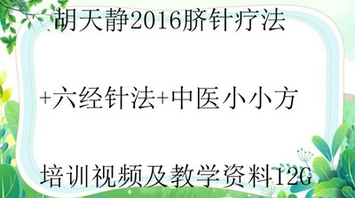 胡天静2016脐针疗六经针法中医小小方培训视频及G