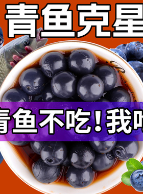 青鱼珠珠软饵料钓巨物颗粒野钓黑坑专用钓鱼缓沉浮水大青克星鱼饵