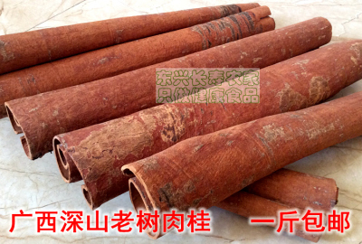 广西老树一份500克上等肉桂
