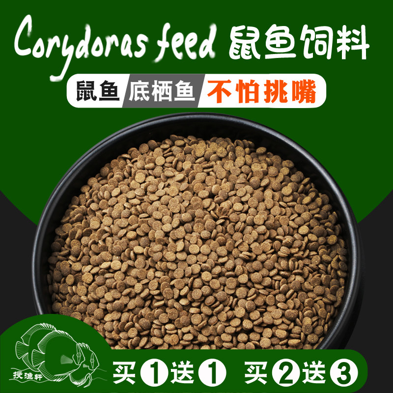 鼠尼格罗青鼠鱼熊猫异型鼠鱼三间鼠老鼠鱼粮鱼食底栖小型鼠鱼