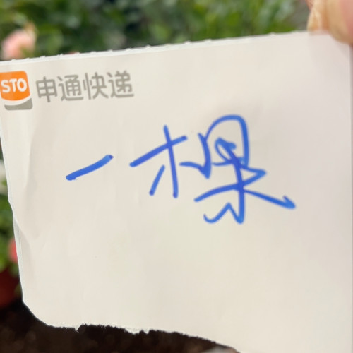 一颗清仓价（退单拉黑）