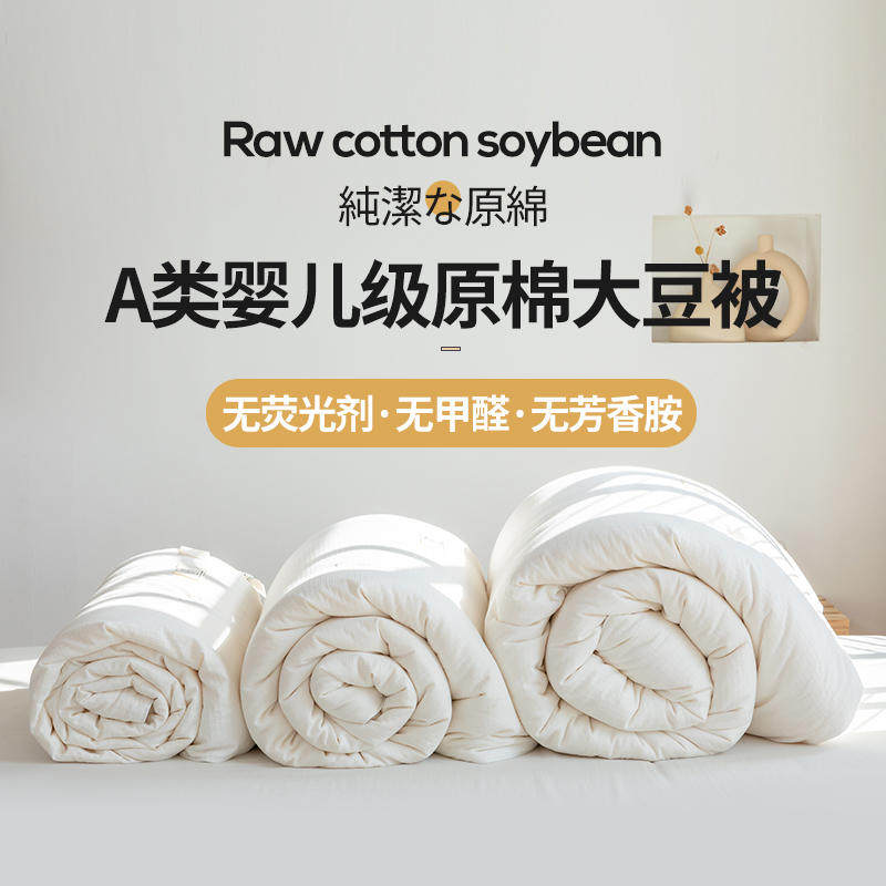 大豆纤维A类冬季保暖被芯春秋被