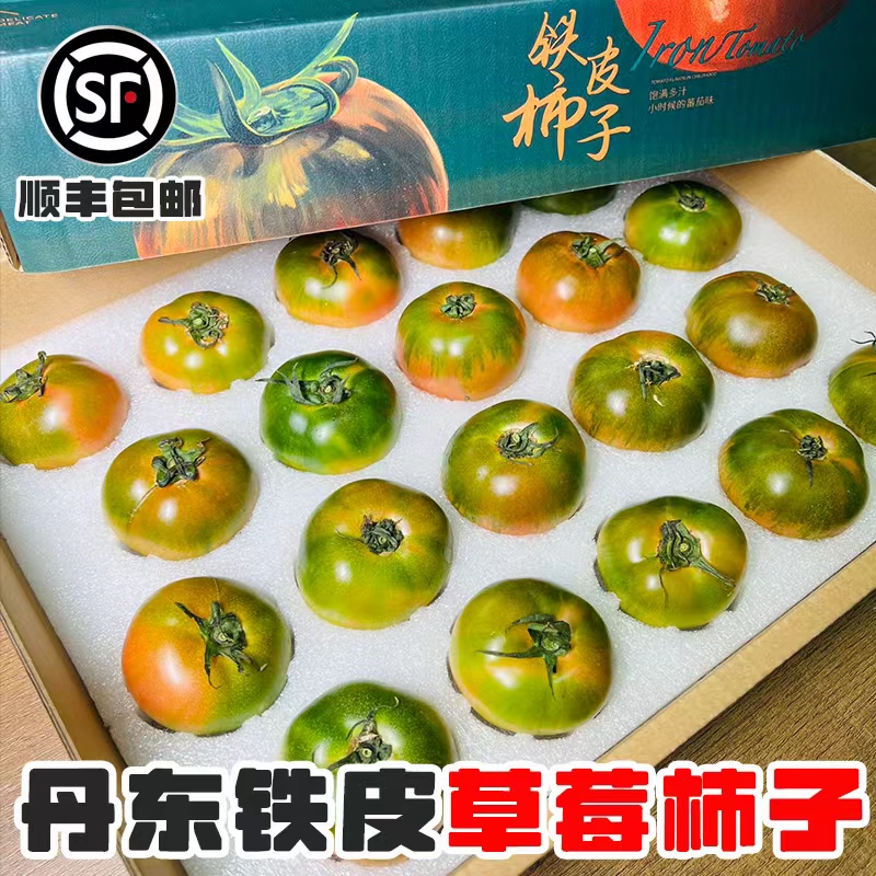 铁皮柿子丹东水果草莓西红柿自然成熟农家自种现摘盐碱地新鲜番茄