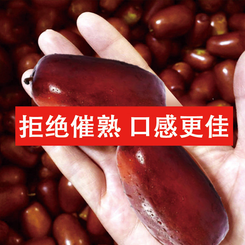 【脆甜鲜枣】新鲜枣子宁夏灵武长红枣 大枣红枣脆冬枣水果