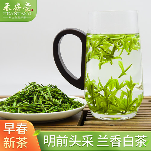 【头采春茶】特级安吉白茶袋装